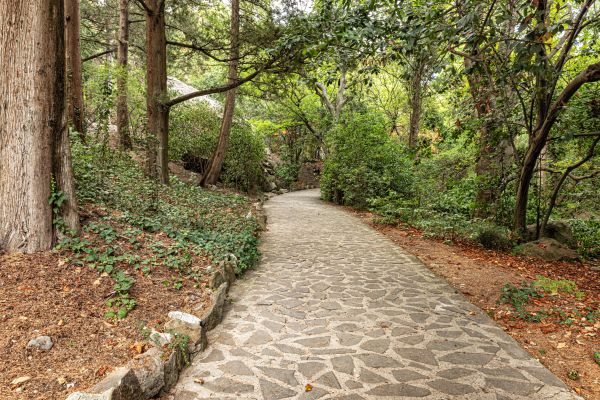 Stone Walkway Repair in Fayetteville