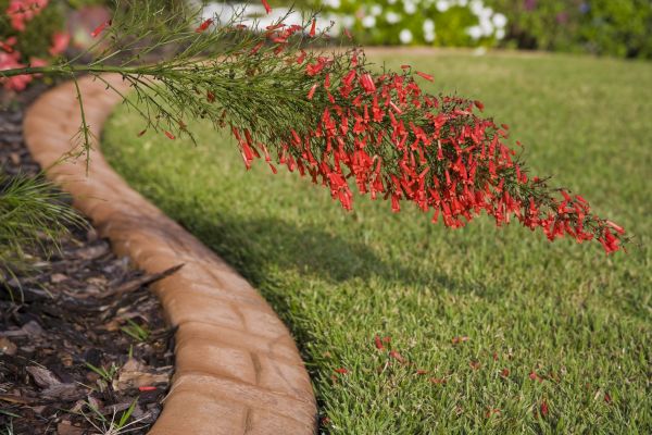 Brick Edging in Fayetteville