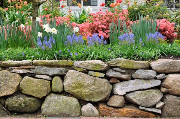 Stone Wall Hardscaping in Fayetteville