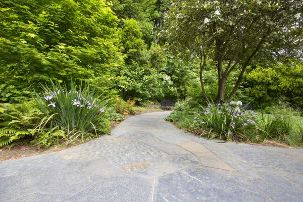 Stone Hardscape Service in Fayetteville