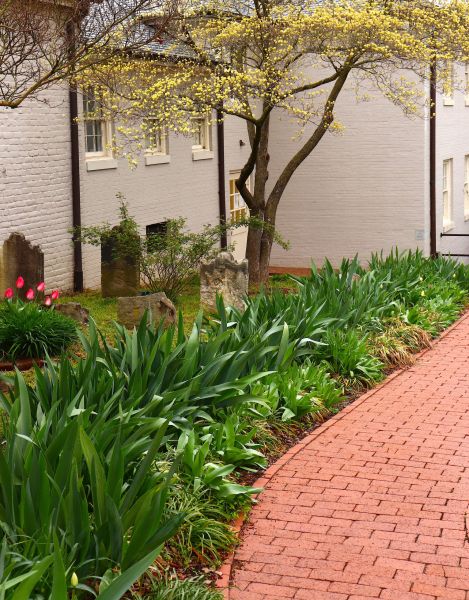 Brick Flatwork Repair in Fayetteville